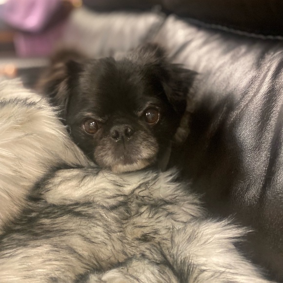 Welcome to my closet - Picture 15 of 16